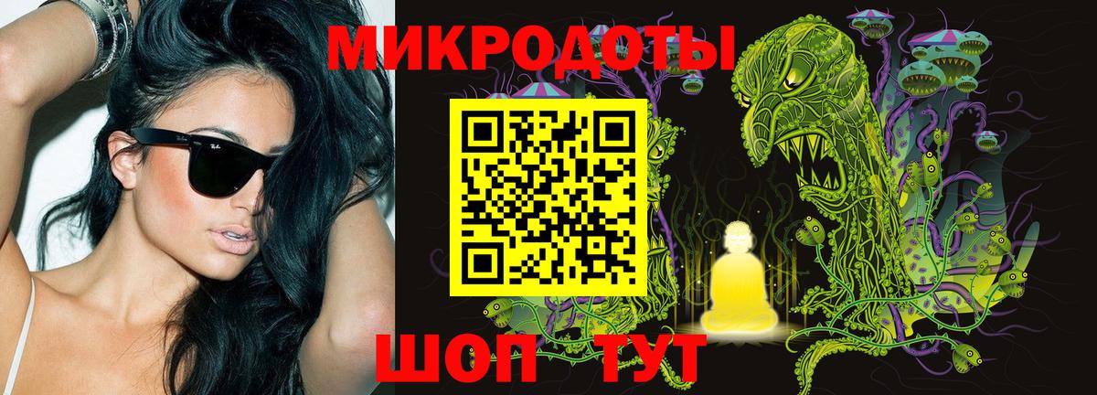Псилоцибиновые грибы Psilocybine cubensis Екатеринбург