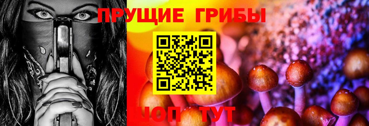 Псилоцибиновые грибы Cubensis  Вход с VPN  Екатеринбург  где можно купить наркотик  Псилоцибиновые грибы Psilocybine cubensis 